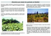 Thumbnail de Capoeira melhorada em solos de baixa fertilidade, município de Theobroma-Rondônia.