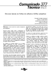 Thumbnail de Cloroses típicas em folhas de cafeeiros Coffea canephora.