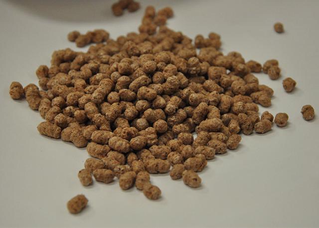 Imagem de Cereal matinal sem glúten à base de grãos de sorgo integral