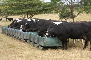 Imagem de Cocho trenó para alimentação de bovinos