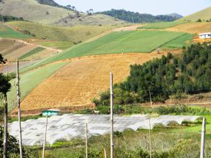 Imagem de Construção coletiva de conhecimentos agroecológicos em ambientes de montanha da Região Serrana fluminense
