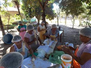Imagem de Estratégias de intervenção para transferência de tecnologia em comunidades tradicionais nos municípios de Capinzal do Norte e Santo Antônio dos Lopes, estado do Maranhão.