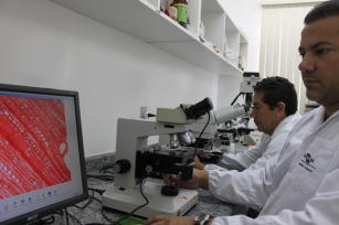 Imagem de Manutenção dos equipamentos do Laboratório de Fisiologia Geral da Embrapa: a pesquisa básica subsidiando o desenvolvimento de tecnologias para a região Amazônica