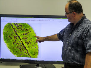 Imagem de AFSOFT - Software para medida de área foliar
