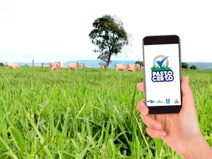 Imagem de Pasto Certo - versão 2.0 - Aplicativo para dispositivos móveis sobre forrageiras tropicais