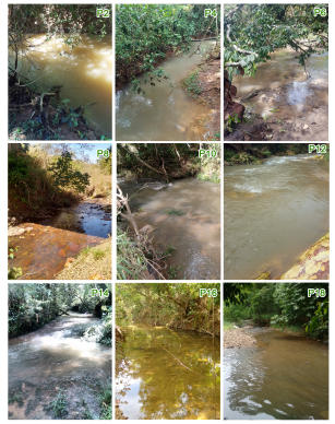 Imagem de Convertido de: Seleção e aplicação de parâmetros regionais como subsídio para a gestão da qualidade das águas superficiais no Bioma Cerrado