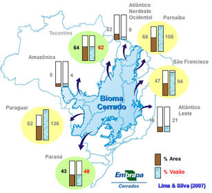 Imagem de Estudo dos processos hidrológicos em áreas de Cerrado com base em monitoramento de duas bacias experimentais e representativas no Distrito Federal - REDE HIDROCER