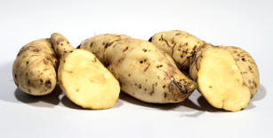 Imagem de Cultivar de batata-doce de dupla finalidade - BRS Gaita