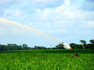 Imagem de Demanda hídrica, manejo de irrigação e fertirrigação na cultura da cana-de-açúcar