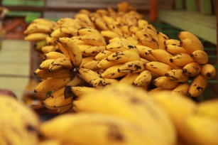 Imagem de Determinação de compostos nutricionais e funcionais em genótipos de banana