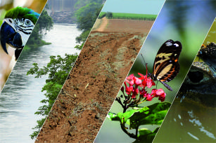 Imagem de Plataforma de Recursos Naturais dos Biomas Brasileiros: integração, sistematização e disseminação de dados e informações para sustentabilidade e competitividade da agricultura - Natdata