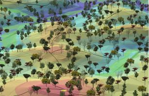 Imagem de Modelo Digital de Exploração Florestal – Modeflora