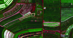 Imagem de Mapeamento da distribuição espacial de plantas daninhas por meio de sensoriamento remoto
