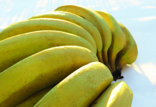 Imagem de Sistema de produção da bananeira BRS Platina