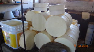 Imagem de Aproveitamento de soro de leite de pequenas queijarias