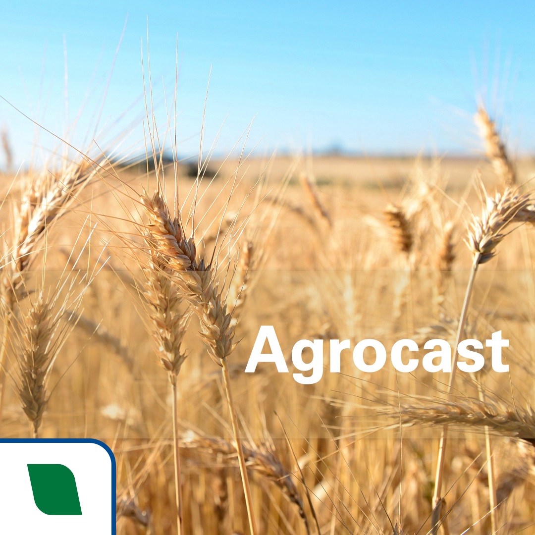 Agrocast Embrapa