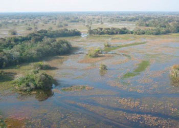 Embrapa Pantanal (Corumbá/MS)