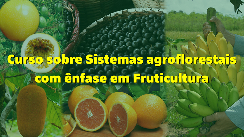 Curso sobre Sistemas agroflorestais com ênfase em Fruticultura