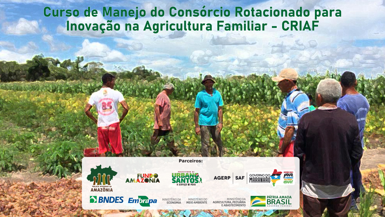 Curso de Manejo do Consórcio Rotacionado para Inovação na Agricultura Familiar – CRIAF