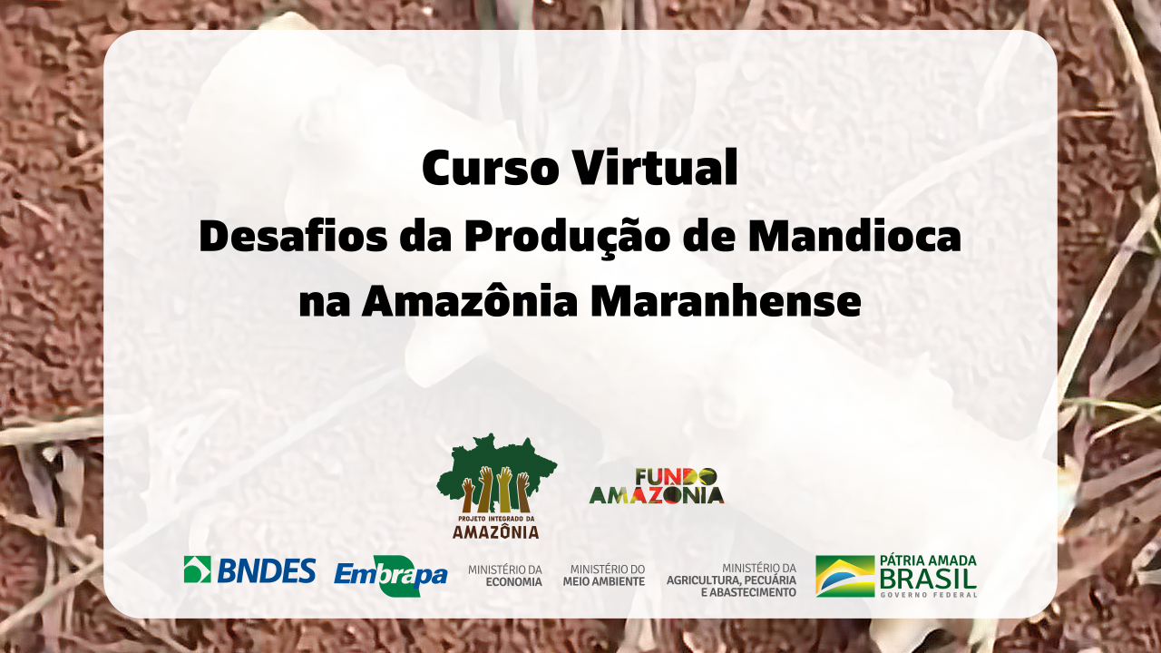 Curso Virtual Desafios da produção de mandioca no Maranhão